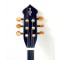 B206 walnut