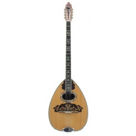 T02 Iroko