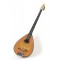 TZ76 birch